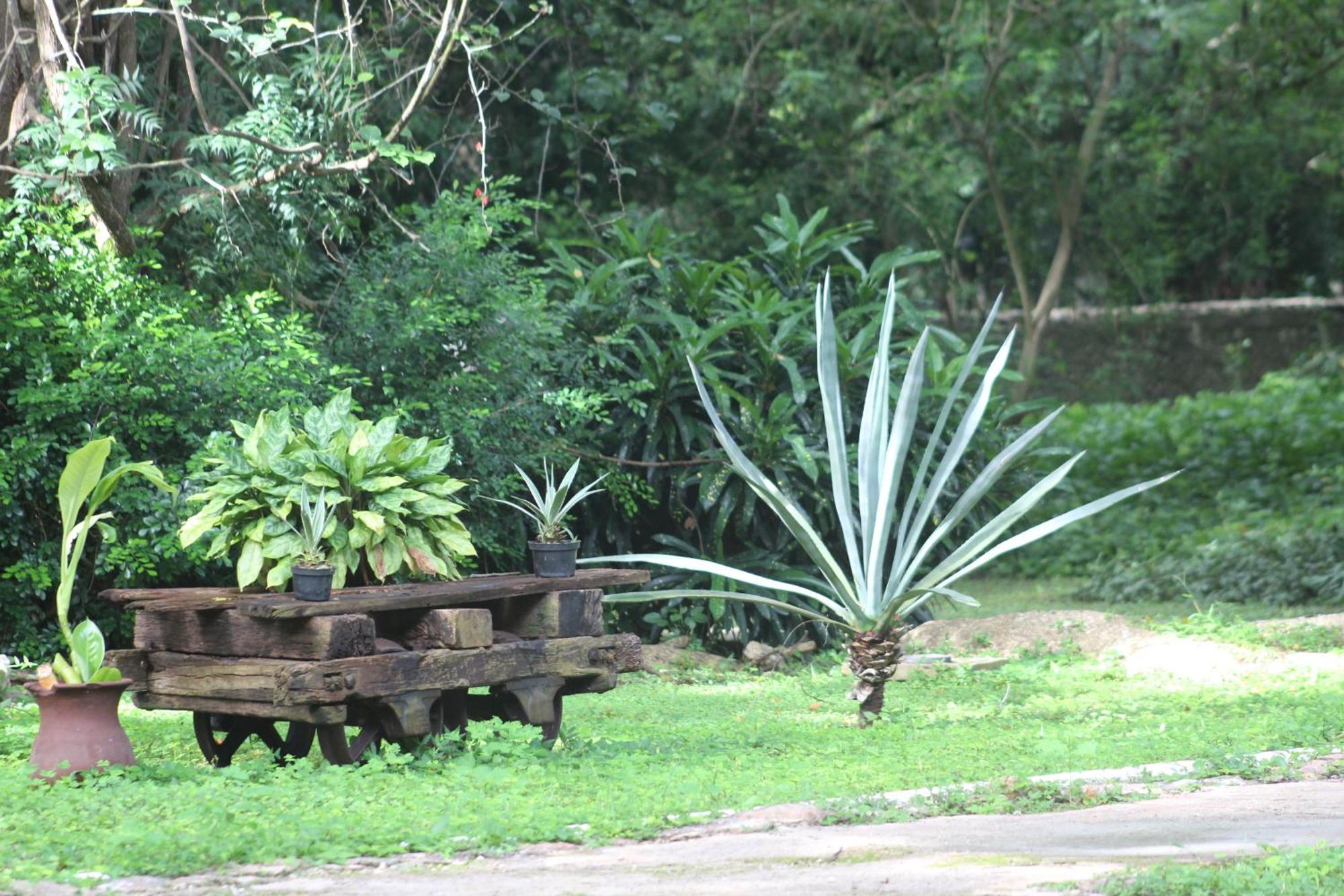 Hacienda San Jose Cholul Hotel Tixkokob Luaran gambar